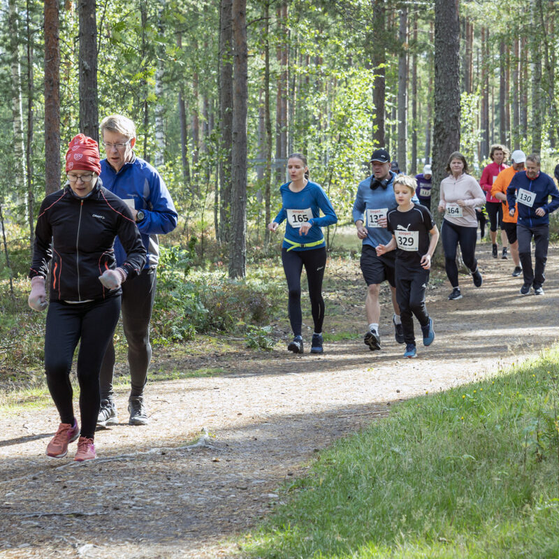47. Hämeen Hölkkä